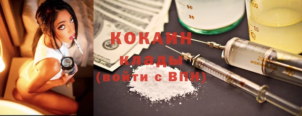 ГАЛЛЮЦИНОГЕННЫЕ ГРИБЫ Наволоки