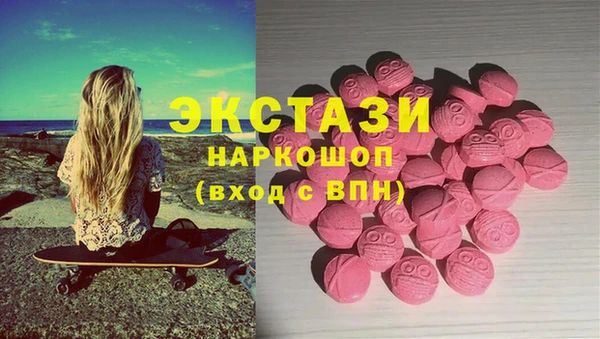 ECSTASY Богданович