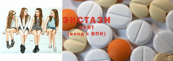 ECSTASY Богданович