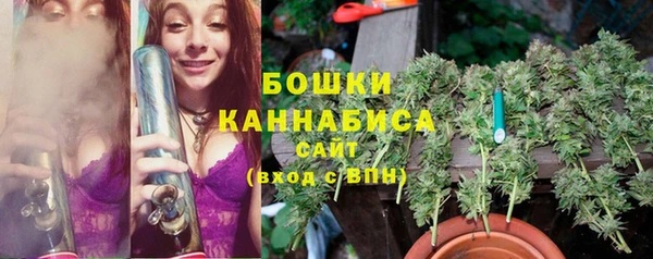 ГАЛЛЮЦИНОГЕННЫЕ ГРИБЫ Наволоки