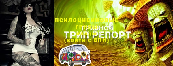 ГАЛЛЮЦИНОГЕННЫЕ ГРИБЫ Наволоки