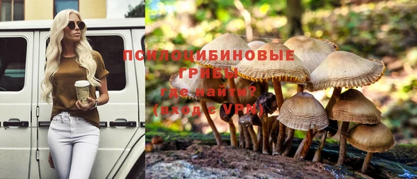 стаф Навашино