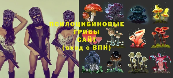 ECSTASY Богданович