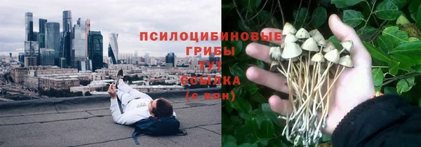стаф Навашино