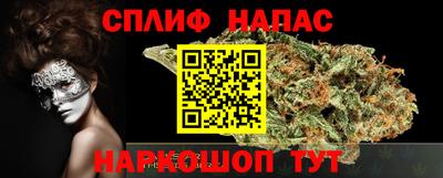 стафф Донской