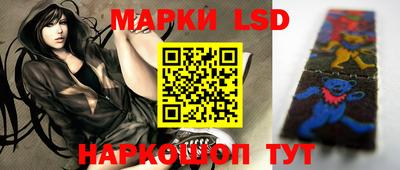 стафф Донской