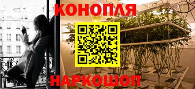 стафф Донской
