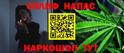 стафф Донской