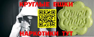 стафф Донской