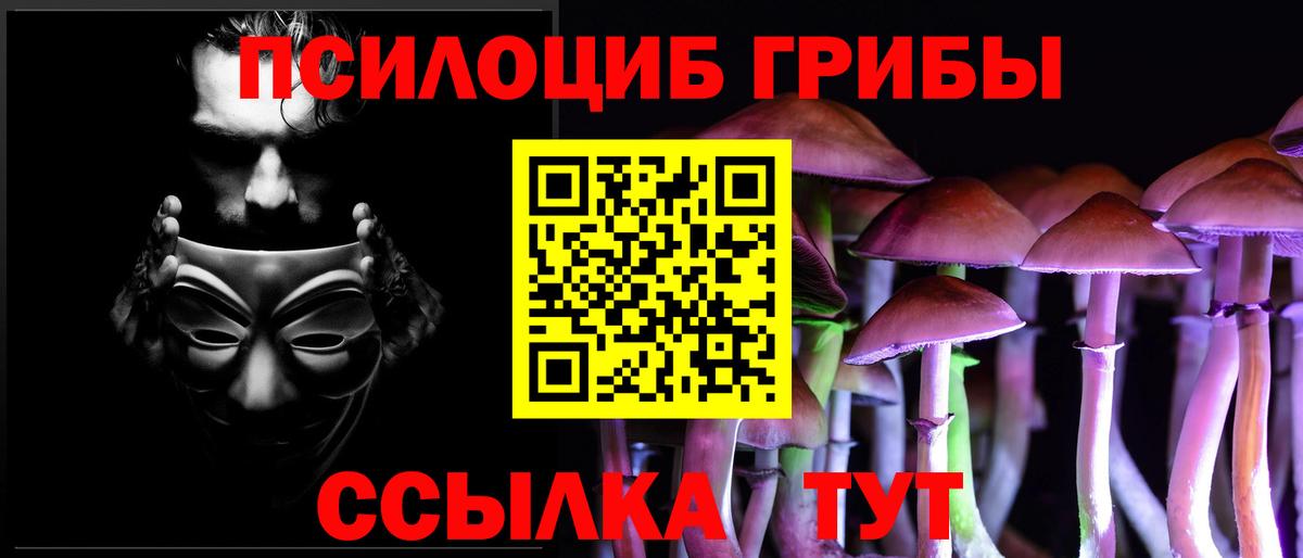 Мурманск  Псилоцибиновые грибы Psilocybine cubensis  Вход с VPN  Псилоцибиновые грибы Cubensis 